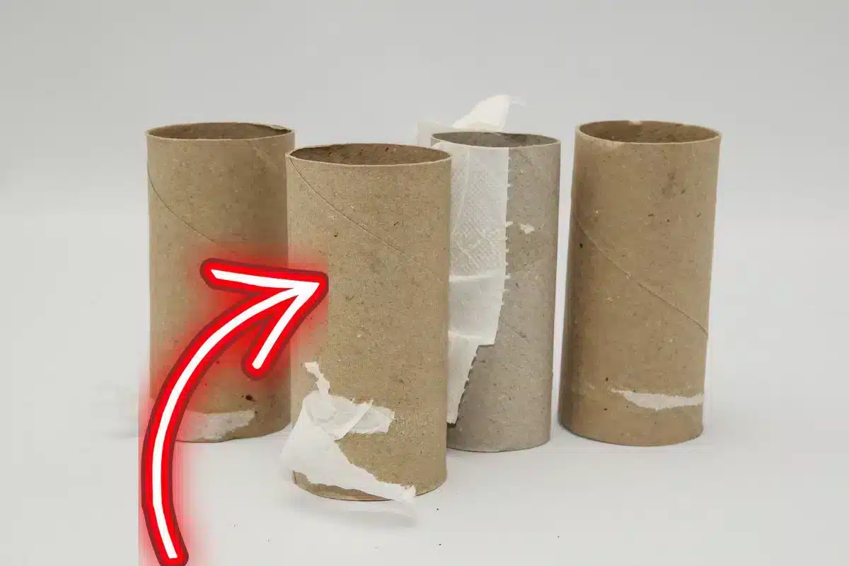 If you have empty toilet paper rolls, don’t throw them away, you’ve got a hidden treasure at home.