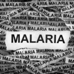 Single-Dose Malaria Combo as effective as Multi-Day Regimen, finds clinical trial