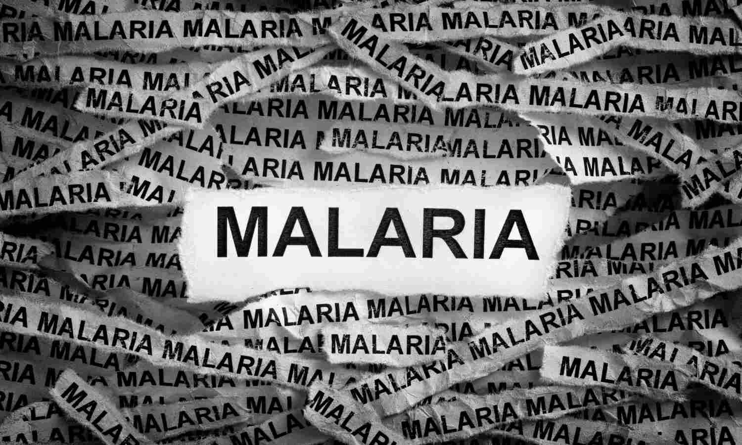 Single-Dose Malaria Combo as effective as Multi-Day Regimen, finds clinical trial