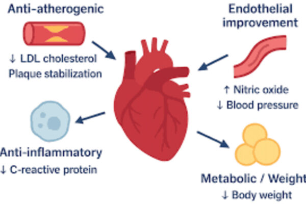 GLP-1 RA Therapy Slows Aortic Dilatation Progression in T2DM: Study