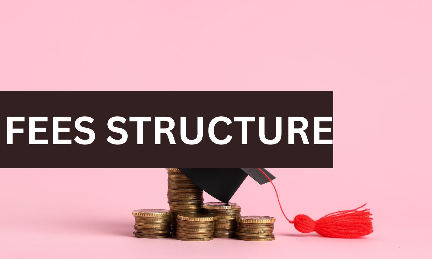 Now Uniform MD, MS fee structure at Rajasthan medical colleges