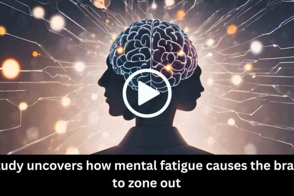 Study Uncovers How Mental Fatigue Causes the Brain to Zone Out