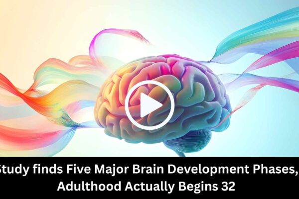 Study finds Five Major Brain Development Phases, Adulthood Actually Begins 32