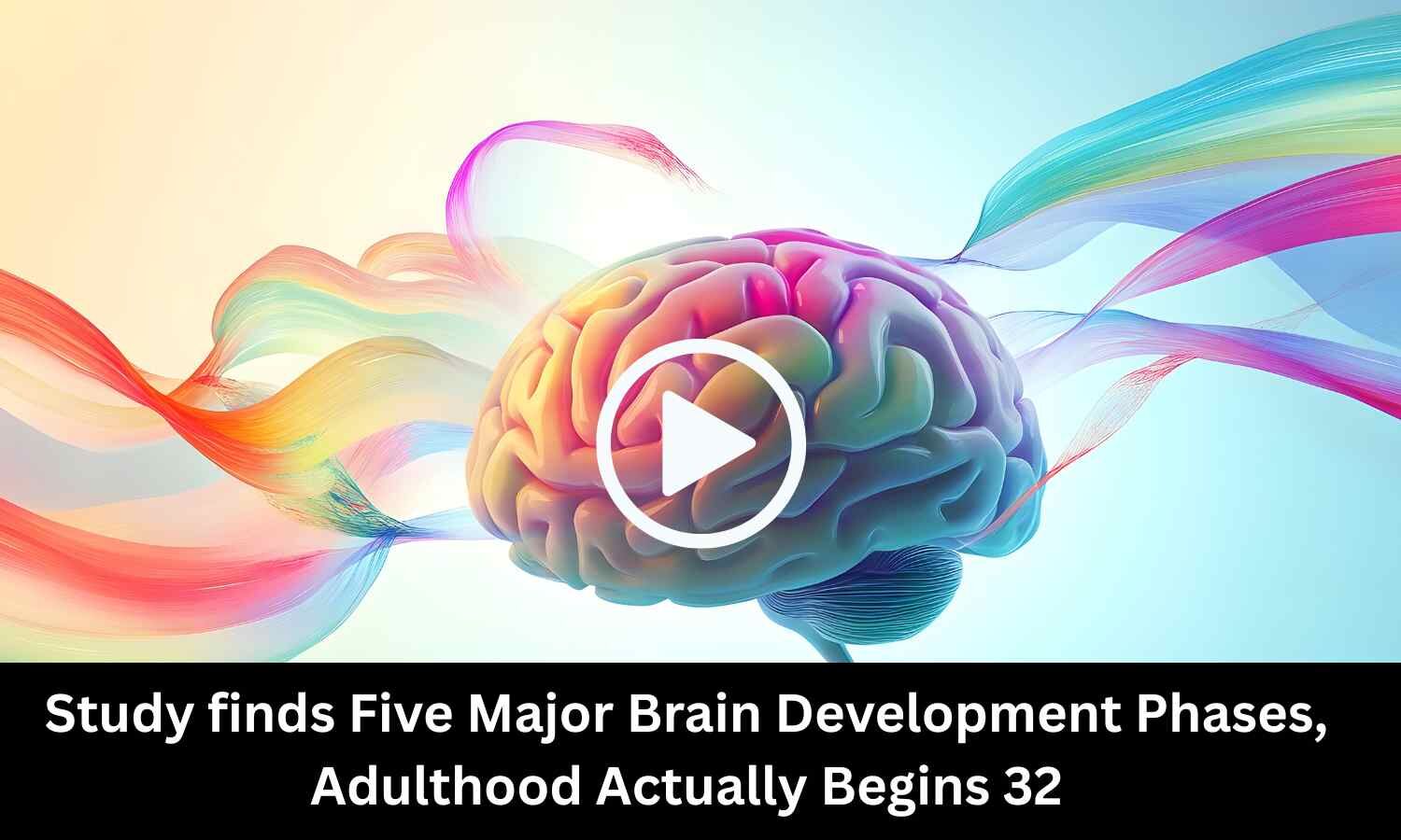 Study finds Five Major Brain Development Phases, Adulthood Actually Begins 32