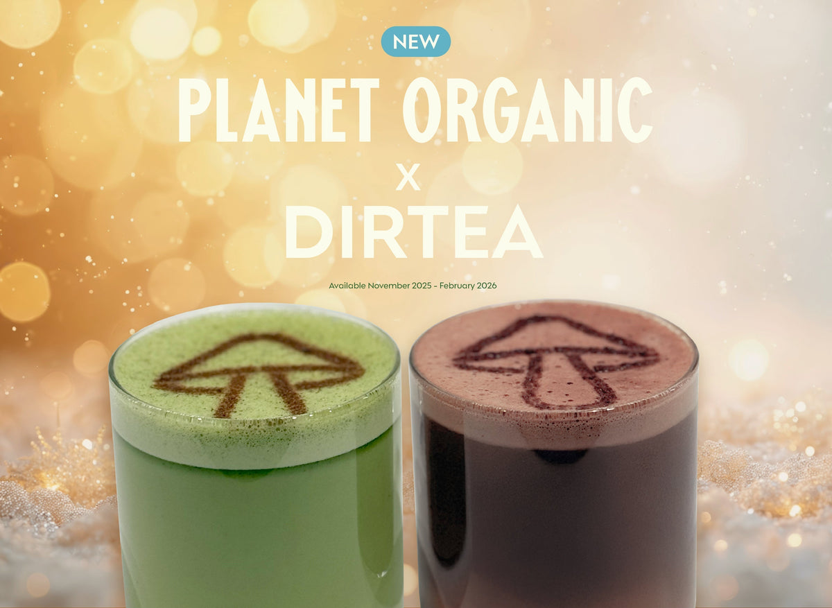 Meet Your New Favourite Mushroom-Powered Hot Drinks