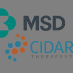 MSD said to be close to bn+ deal for flu biotech Cidara