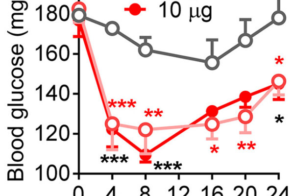 After 60 Years, Diabetes Drug Found to Unexpectedly Impact The Brain