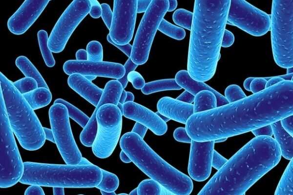 Innovative new tool helps understand how gut microbes interact to influence health