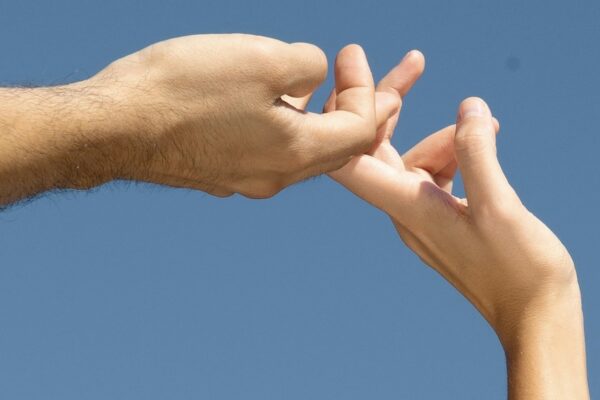 Are Berberine and Fiber the Ultimate GLP-1 Powerhouse Pairing?