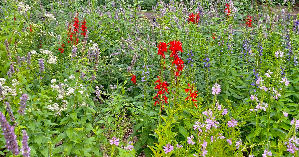 Why Sean Sherman’s Latest Cookbook ‘Turtle Island’ Is Essential Reading