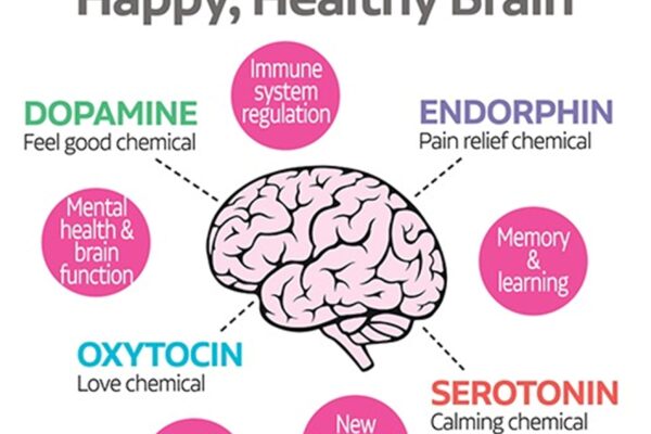 Boost Your Brain with Bioidentical Hormone Pellet Therapy