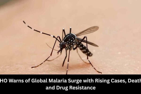 WHO Warns of Global Malaria Surge with Rising Cases, Deaths and Drug Resistance