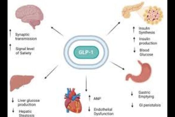 GLP-1 Receptor Agonists Aid Weight Loss Without Worsening IBD, suggests study