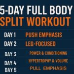 5-Day Full Body Split Workout: A Complete Guide for Hypertrophy