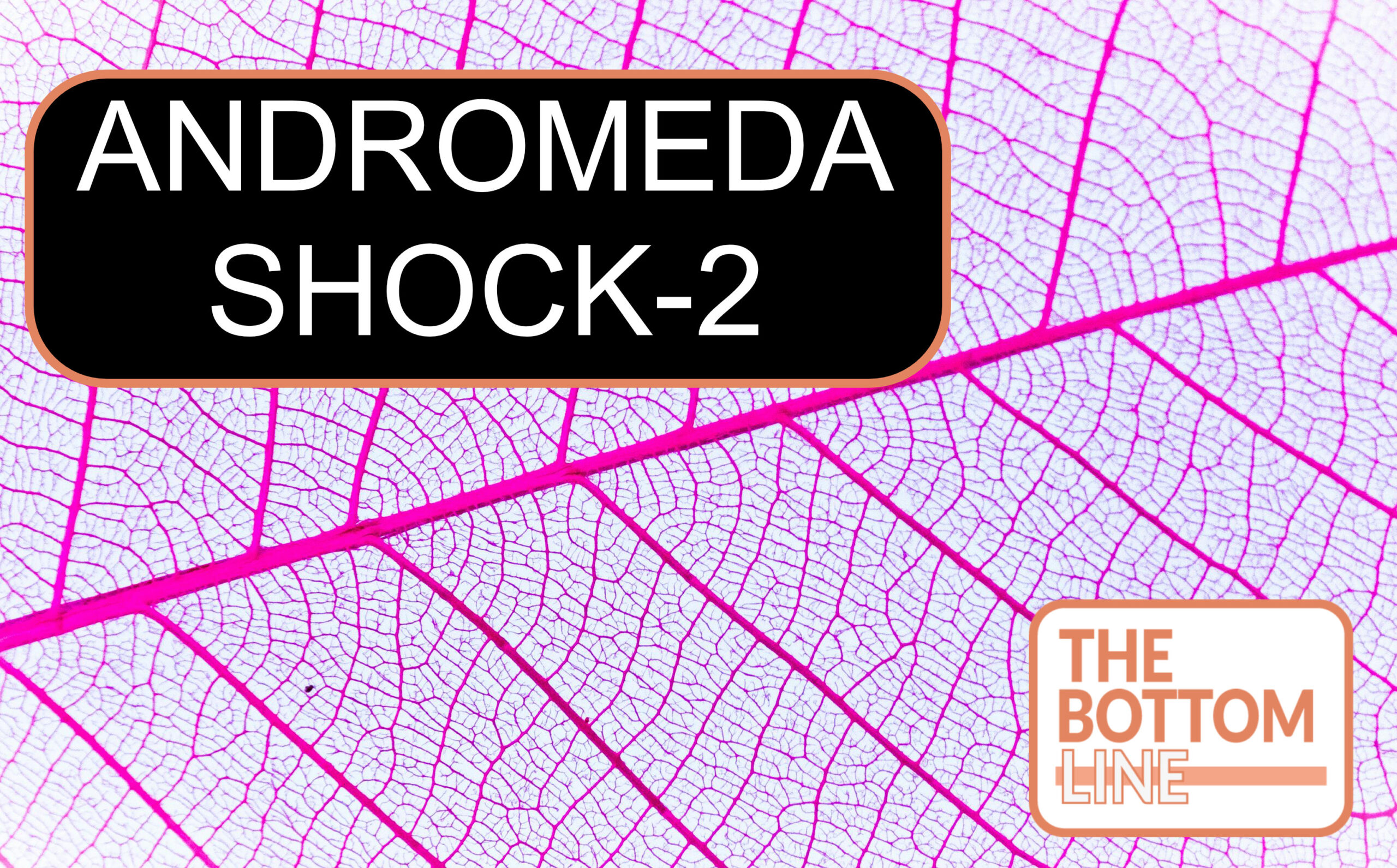 ANDROMEDA-SHOCK2 – Personalized Hemodynamic Resuscitation – The Bottom Line