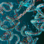 Sam Altman Retro Bio, Excelsior, Bristol: The Readout