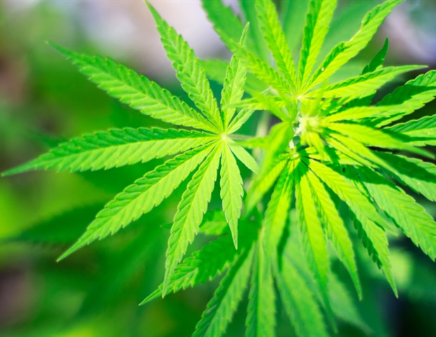 Marijuana use associated with worse school performance and emotional distress for teens