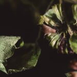 A Poem By Gabriel Mojay