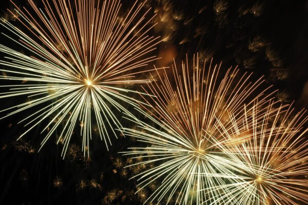 A Year in Review, Plus What’s Coming Next