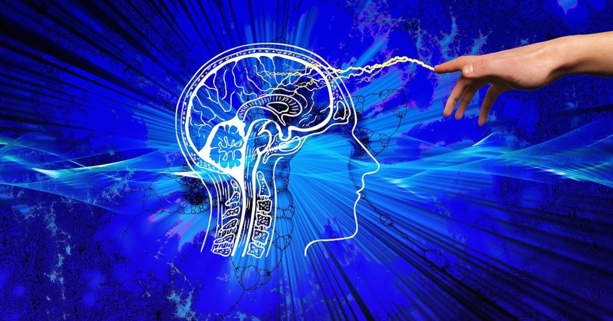 The Science of Beauty: How Your Brain’s Energy Budget Shapes What You Like