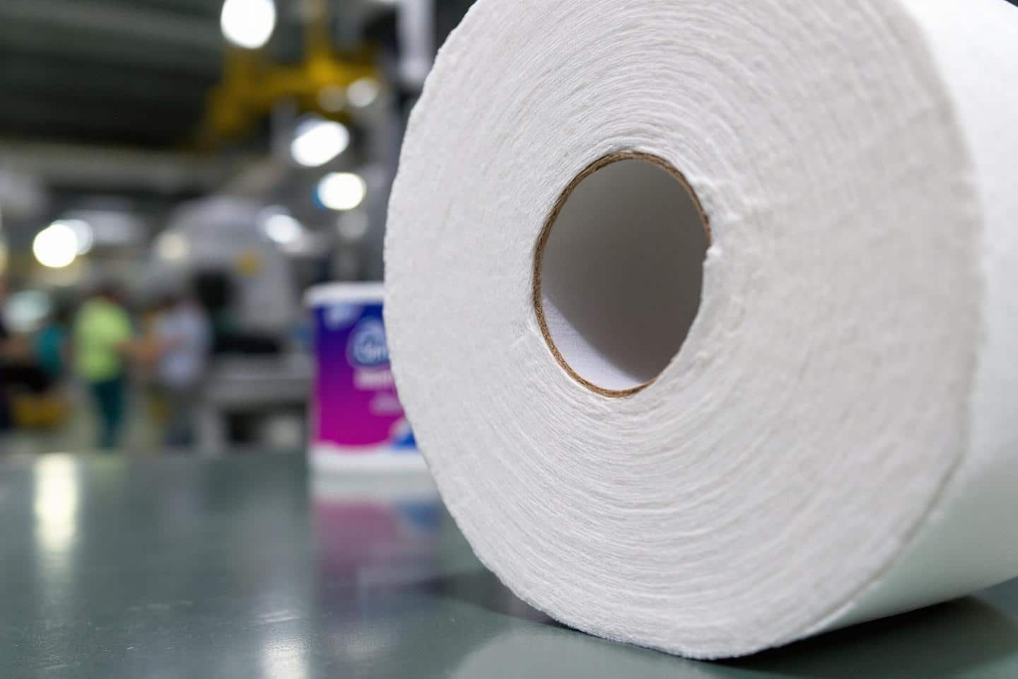 Where is charmin toilet paper made ?