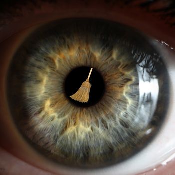 How the Eye and Brain Handles Removal of Natural Waste