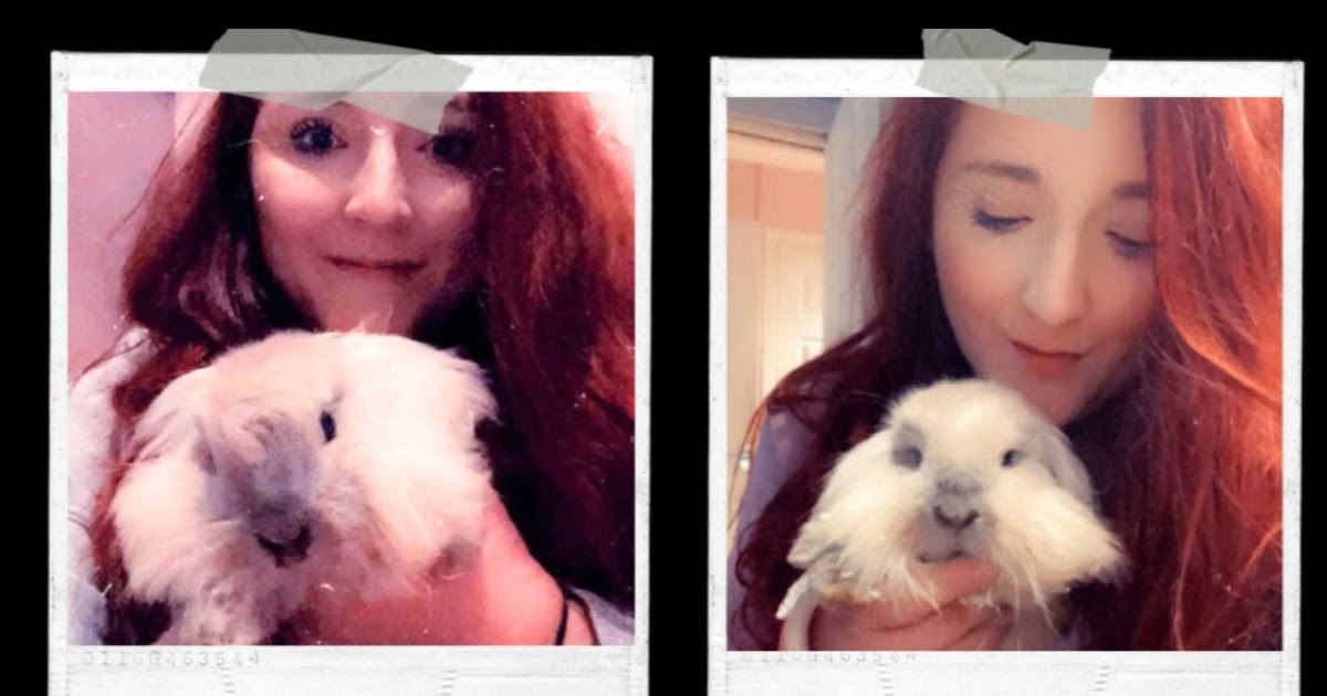 Everything I’ve Needed to Create a Pet Bereavement Project