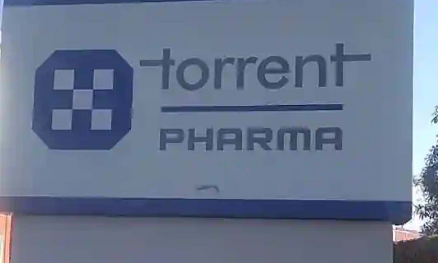 Torrent Pharma Plans Rs 12,500 Cr Fund Raise Through Secured NCD Issue