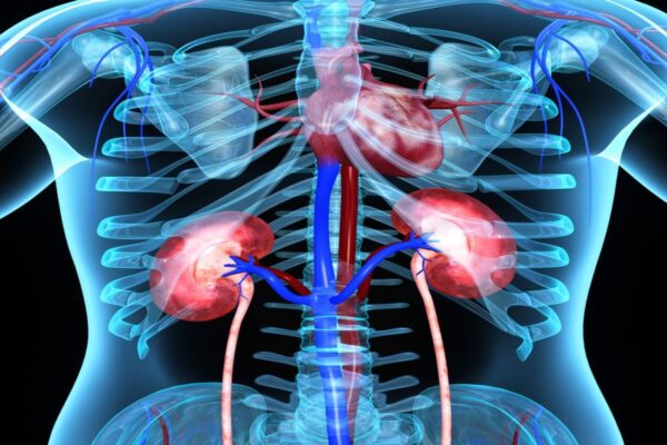 Sacubitril/Valsartan Plus Dapagliflozin slowed kidney function decline in Non-Diabetic Advanced CKD: Study