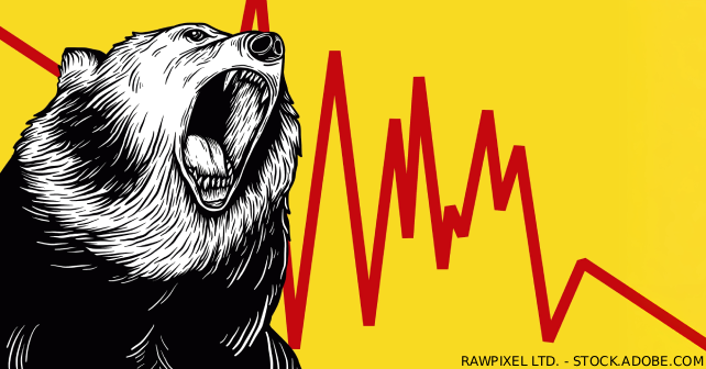 Preparing For and Surviving the Next Bear Market