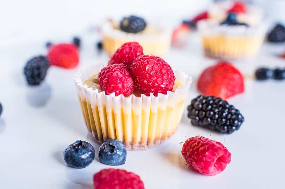 Healthy Cheesecake Bites – The Picky Eater