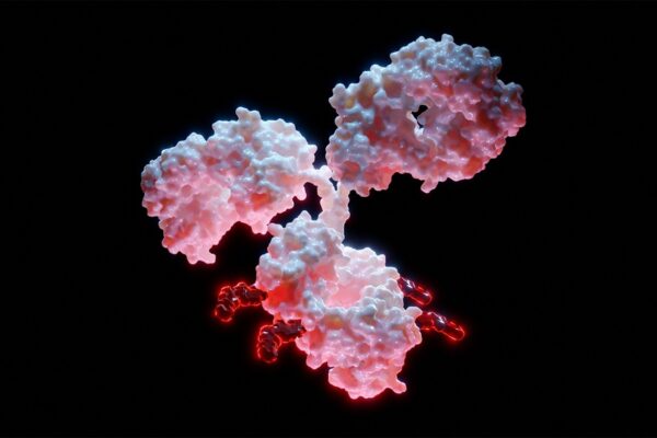 MediLink and Roche announce exclusive licensing agreement for YL201