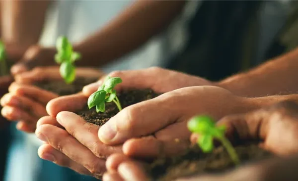 Building more sustainable cold chain packaging through innovation